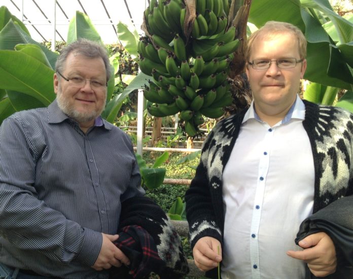 ossurOgUrmasIHveragerdi100413_808911330