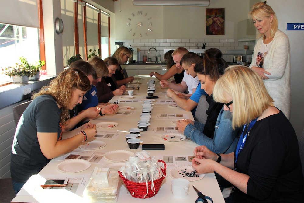 perlad_med_krafti_533557292