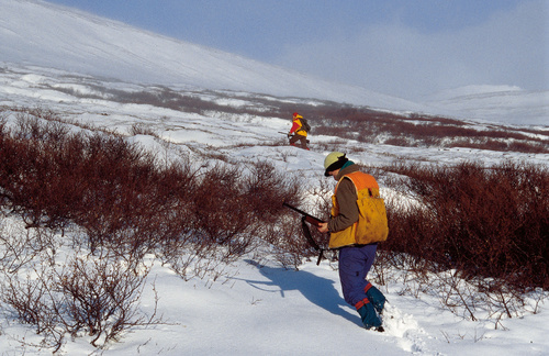 rjupa_lax_a_512114272