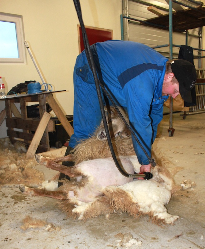 runingur_2014thorsteinnlogi_BSSL_165778518