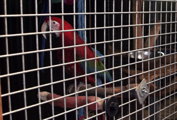 seifur_iburi_962564750