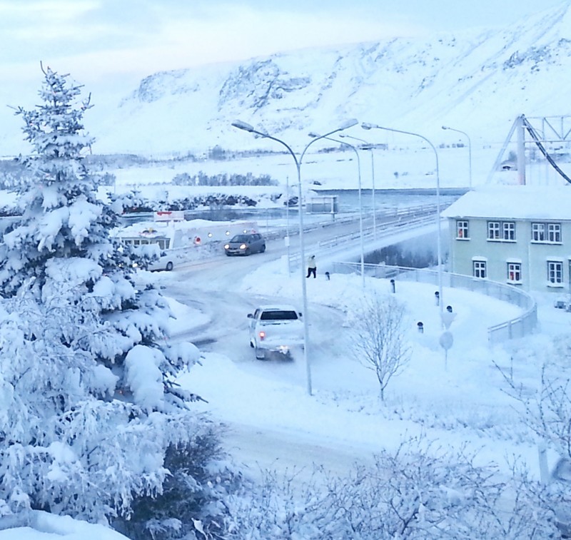 selfoss_hringtorg2017arb_931421036