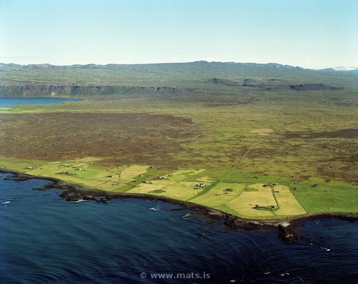 selvogur_mats_837219445