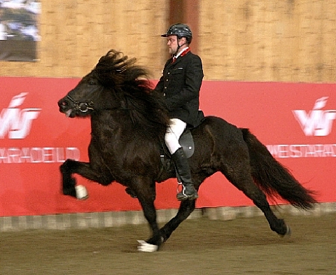 sigurdur_sigurdarson_Loki2011md_371682013