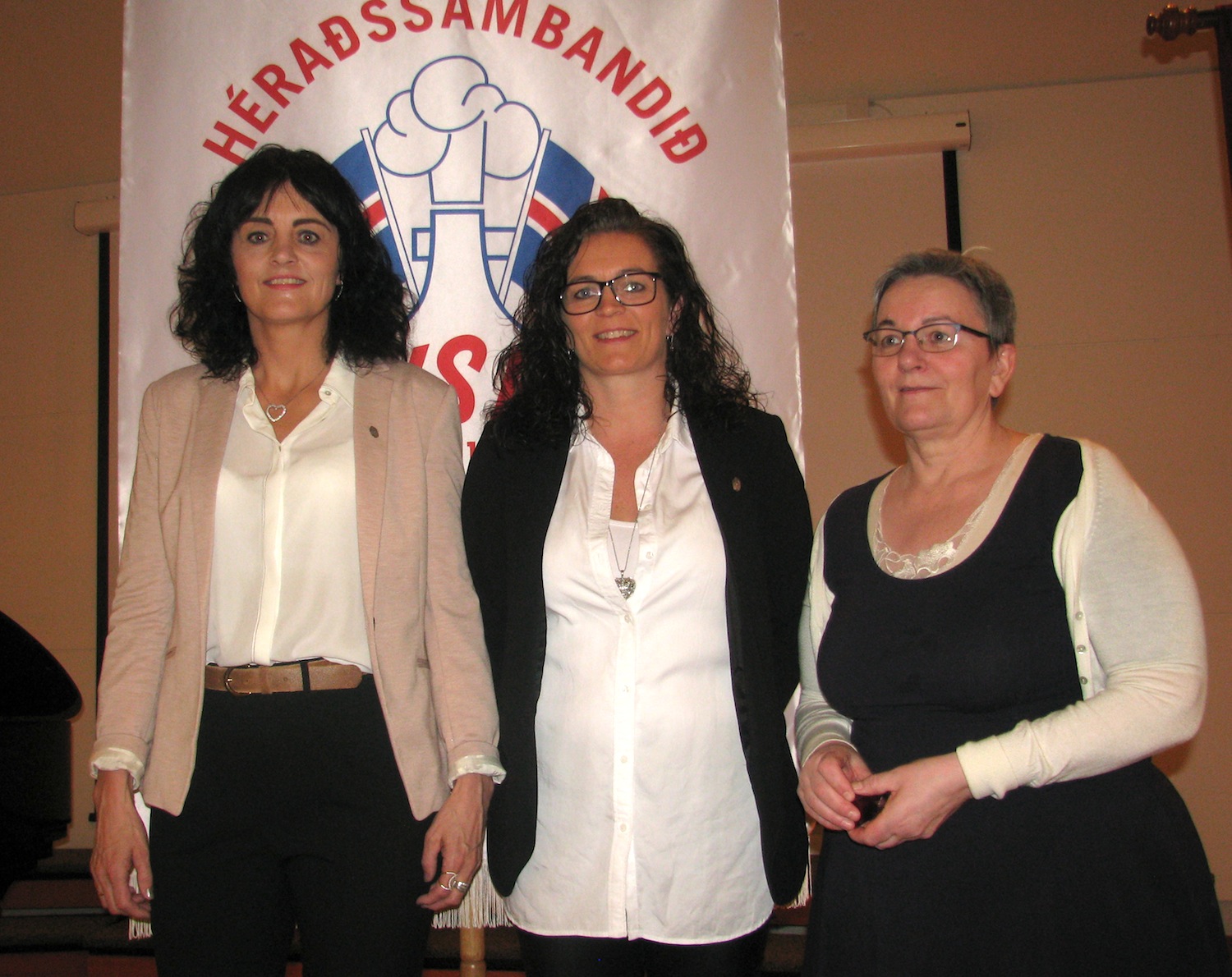 silfurmerki_HSK_2016_ljosari_918329995