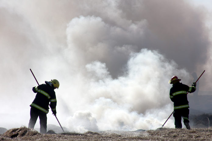 sinubruni_tjarnarbyggd270408gks_976226406