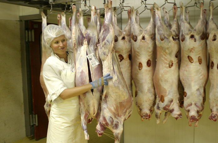 slaturhus_ss_self_gk_172756162