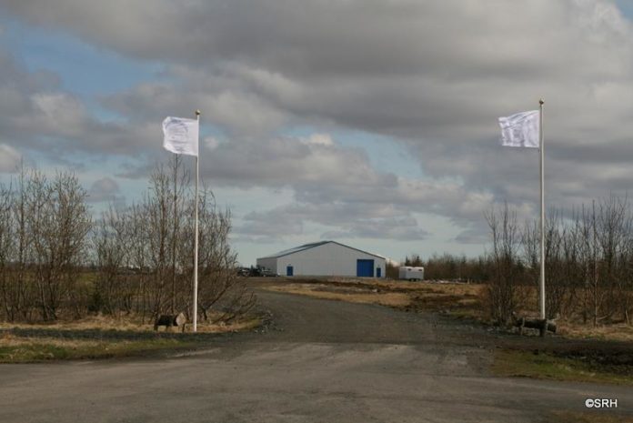 sleipnir_bravellir_321670244