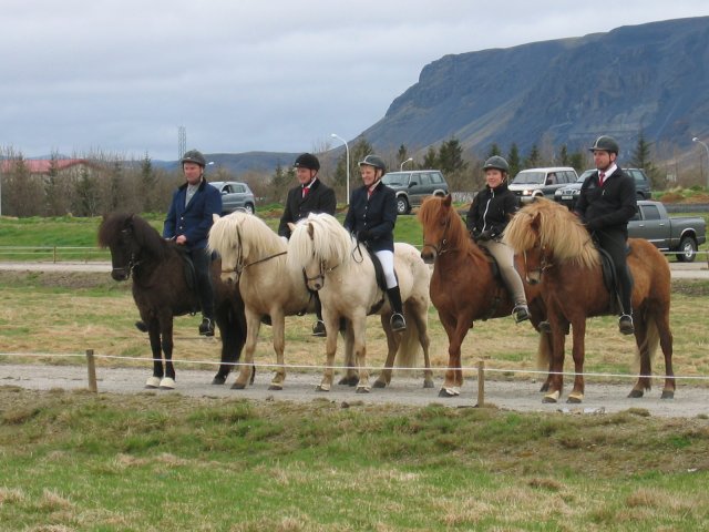 sleipnir_hestar2009_143265780