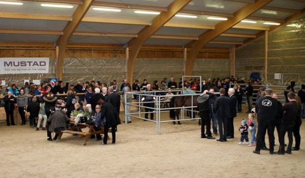 sleipnishollin_803240581