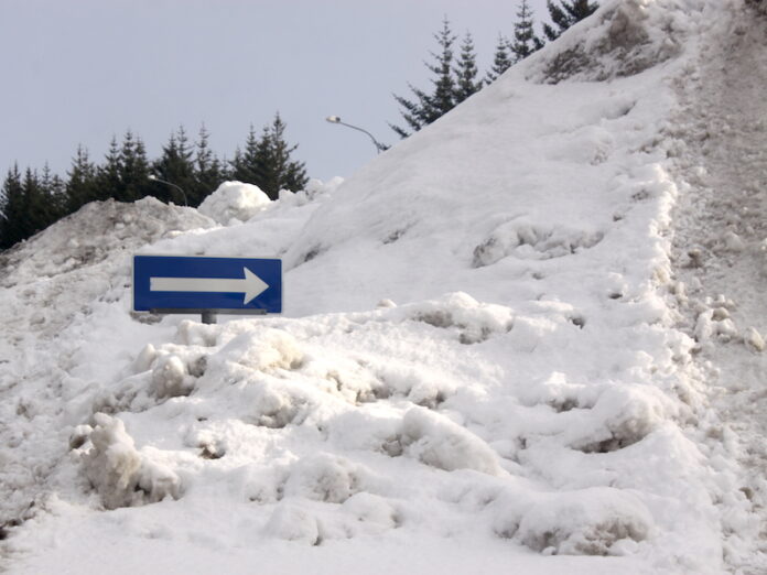 snjor_arborg2016gk_405392498