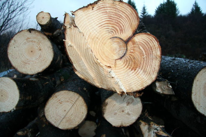 stafafura_brunnin1995ho_543996358