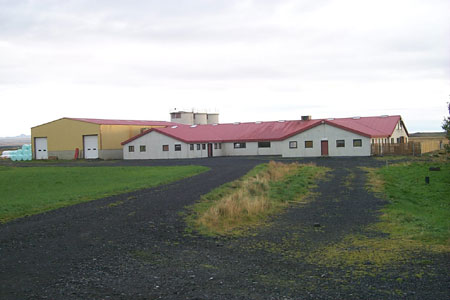 stora_armot_forsida1_702582372