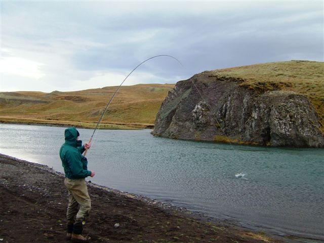 stora_laxa_svfr_870236237