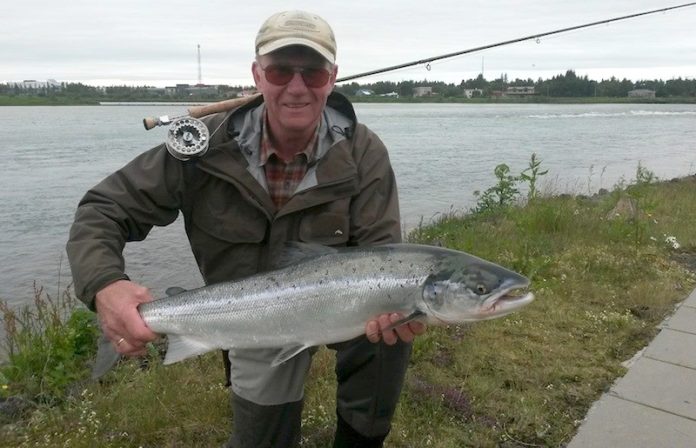 sumarlidi_gudbjartsson2014svfs_681433870