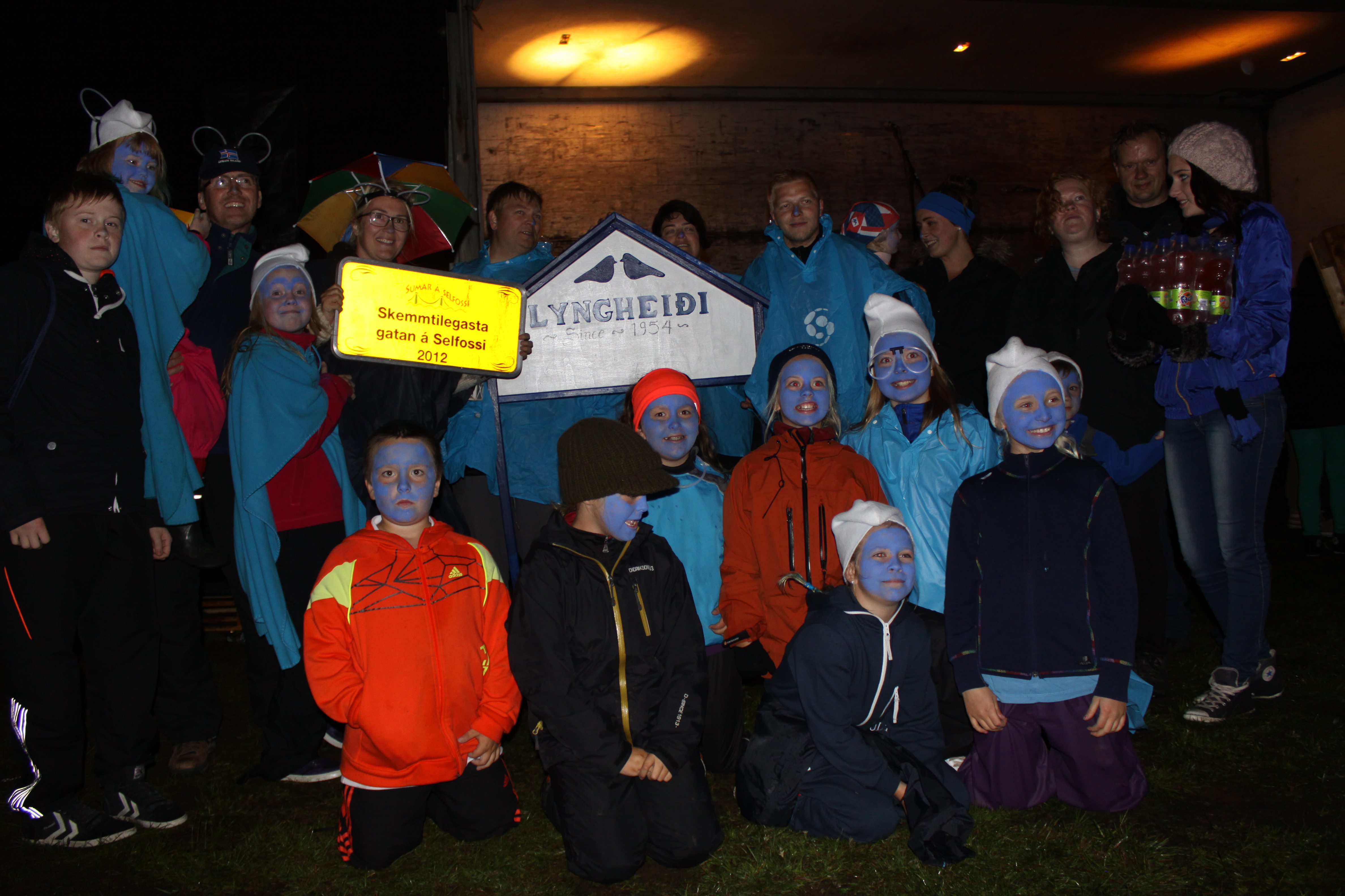 sumarself2012lyngheidi_630007469