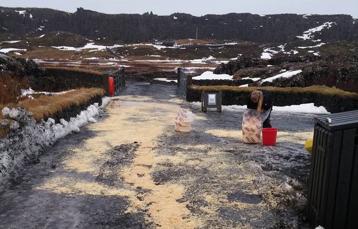 thingvellir_olia2015_444568009