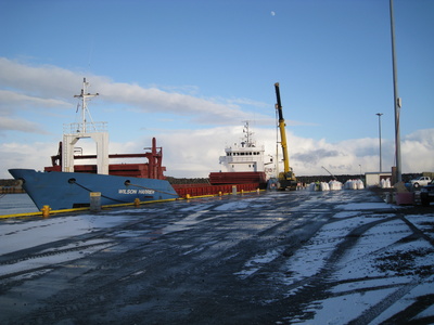 thorlakshofn_wilson_harrier040312_851594646