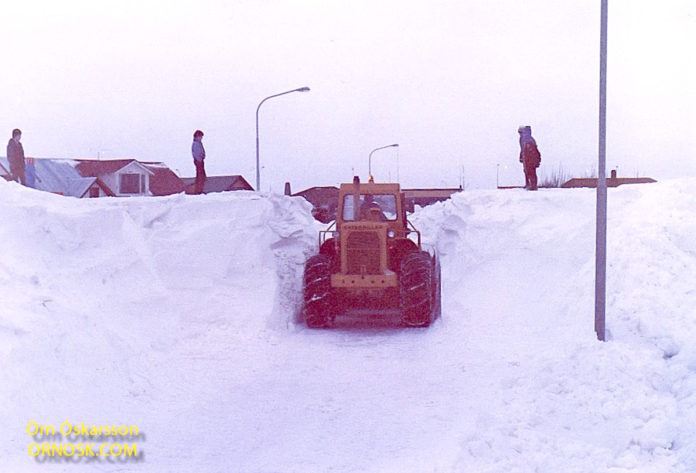 thorsmork_selfossi1981ornosk_721827338