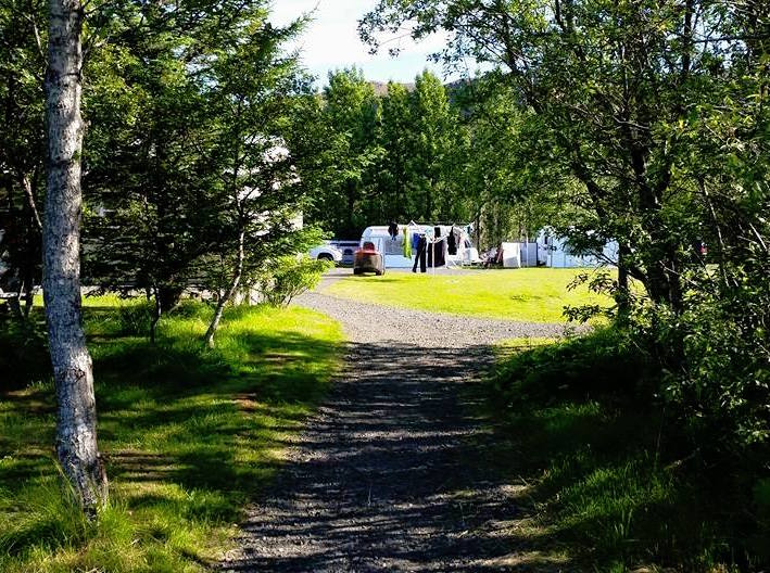 tjaldsv_hveragerdi_727188011