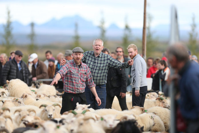 tungnarettir_2017_dagurbrynjolfsson_666395352