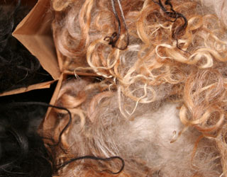 ull_thingborg_145413827