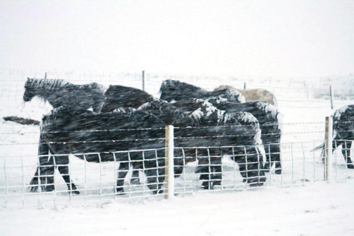 vedur_snjor_landeyjar241210sj_499268694