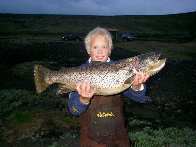 veidivotn2010_375041098