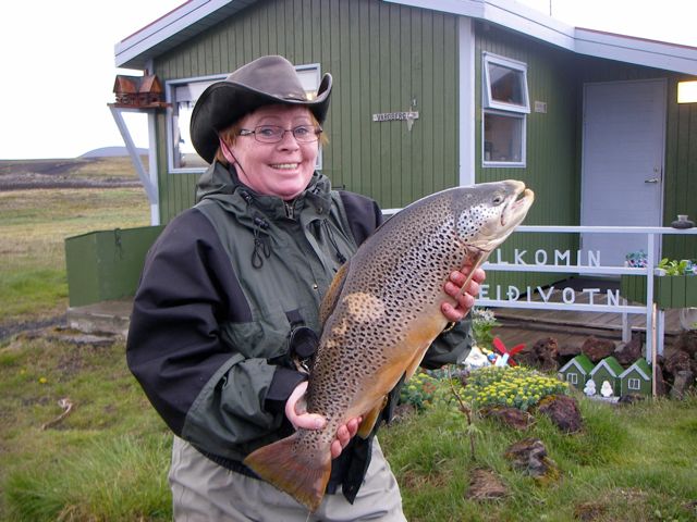 veidivotn_arny2012_860951930